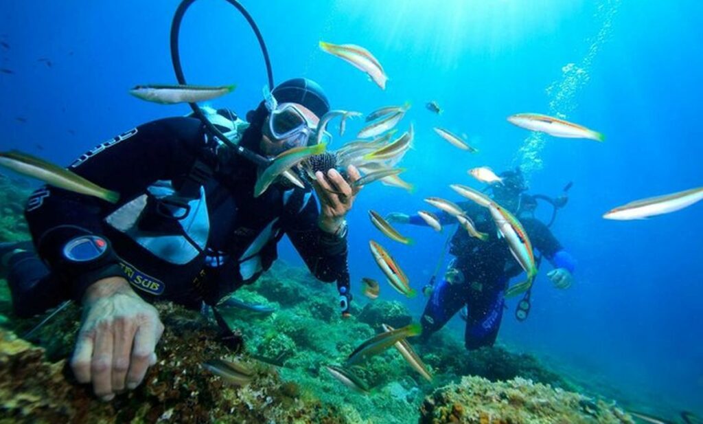 plongée sous-marine nha trang